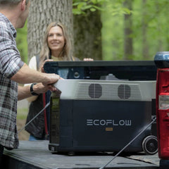 EcoFlow DELTA Pro Portable Power Station + Smart Generator + Adapter